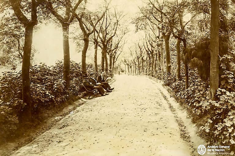 La arboleda del Parque Lezama recorre los senderos y otorga sombra a los visitantes.