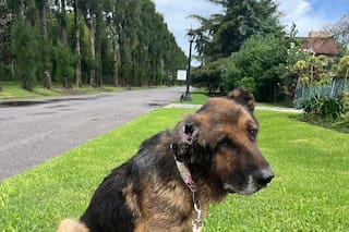 Lo abandonaron enfermo y, con el último aliento, llegó a la entrada de un barrio