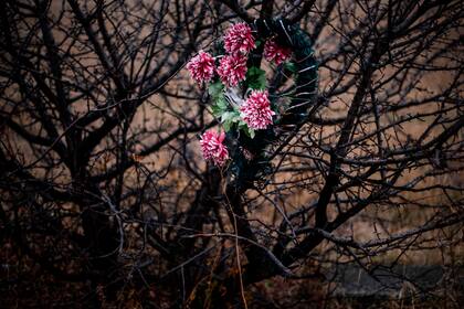 Flores en el lugar del accidente del vuelo MH17 de Malaysia Airlines, en el pueblo de Hrabove