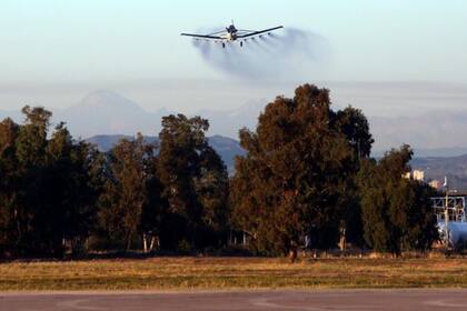 La desinfección se hizo con una solución clorada