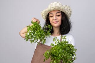 Por qué hay personas que aman el cilantro y otras lo odian