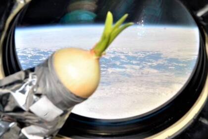 La Estación Espacial Internacional cumplió 20 años de servicio y para conmemorar este aniversario, la NASA publicó fotos de las comidas de los astronautas a lo largo de la historia espacial 