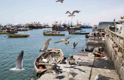 En el puerto se pueden ver camiones bolivianos, buques, containers, grúas y enfrente, hay un mercado con varios puestos de pescado fresco.