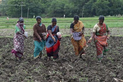 Según los economistas, los países que se espera que crezcan este año tienden a depender más del sector agrícola