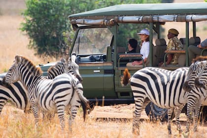 Uno de los momentos que la primera dama más disfrutó fue el del encuentro con cebras en el parque nacional de Nairobi.
