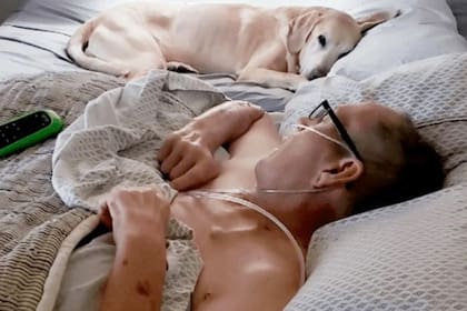 Daniel Hove y su perro Gunter , juntos durante las sesiones de quimioterapia