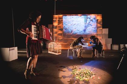 LAMA escavação e acordeon, de Brasil