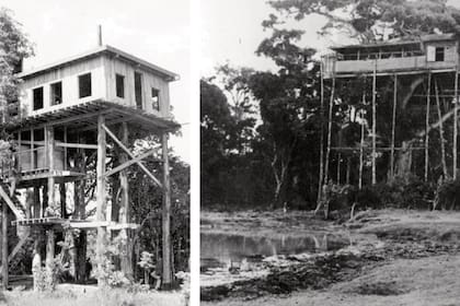 28. Se convirtió en reina "sobre un árbol". El 5 de febrero la princesa Isabel se alojó en el Treetops Hotel de Kenia, cuya particularidad es que sus habitaciones están construidas sobre árboles. Allí se enteró, en la mañana siguiente, que su padre, el rey Jorge VI, había muerto. Horas más tarde, en la madrugada del 6 de febrero, bajó de la casa en el árbol convertida en reina Isabel.