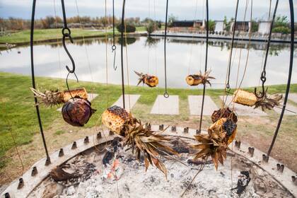 Ananás ahumándose en la pirca.