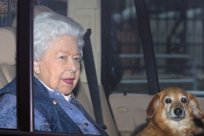 La reina recibió su primer cachorro de corgi a los 18 años, en 1944