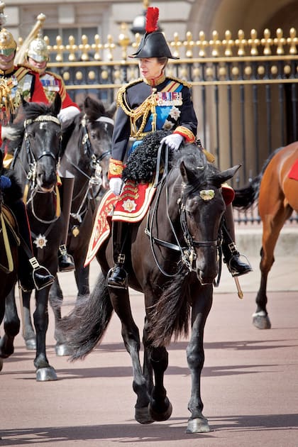 La pasión por los caballos, que heredó de su madre, la acompañó toda la vida. En 2017 desfiló montada y con uniforme de gala en el tradicional Trooping The Colour.