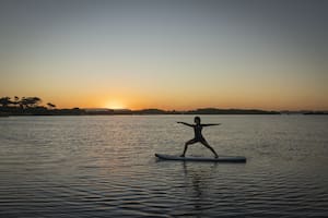 Nuevos incentivos económicos, variada agenda cultural y destinos enfocados en la experiencia