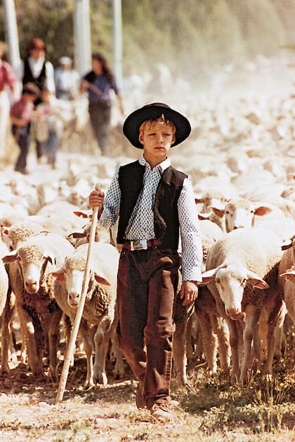 Mediados de los 90, Pierre cuida de sus ovejas en Saint-Rémy-de-Provence.