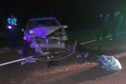 Un colectivo embistió a un caballo que se encontraba en el medio de la ruta provocando el accidente