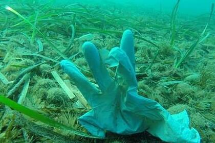 Los guantes en el fondo del Mar Mediterráneo y los tapabocas fueron los principales desechos encontrados