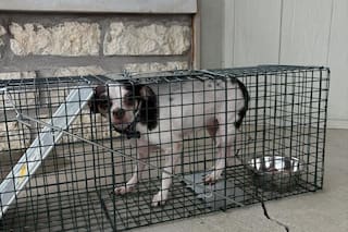 Con su manta y sus juguetes, la abandonaron en un cementerio y pasaron varios días hasta que alguien la vio