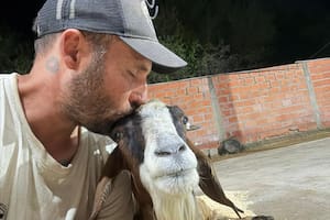 Atrapada en el barro, sobrevivió a una inundación, perdió a sus crías y forjó un vínculo inesperado con quien la ayudó