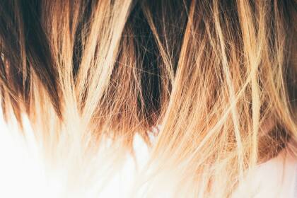 ¿Querés reflejos rubios? Usá manzanilla