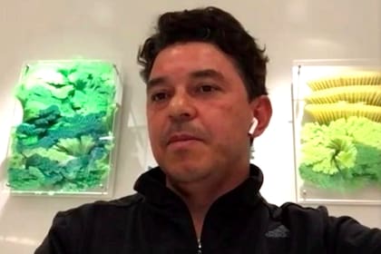 Marcelo Gallardo mantiene reuniones de manera virtual durante la pandemia