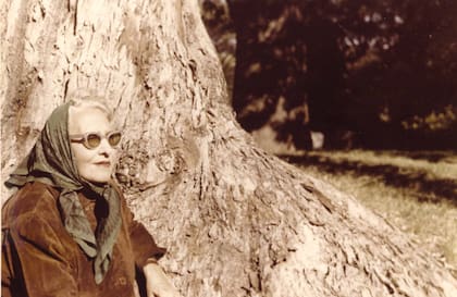 Retrato de la dueña de casa realizado por Sara Facio junto a uno de sus queridos eucaliptos.