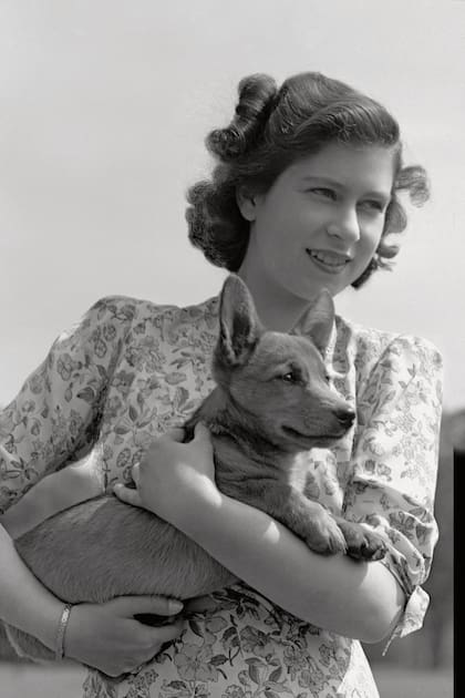 3. Durante sus 95 años tuvo más de treinta perros corgis, todos descendientes de Susan, la perra que le regalaron cuando cumplió 18 años.
