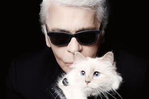 Karl Lagerfeld. Dónde está y cómo vive Choupette, su gata heredera