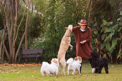 En pleno juego con sus perros, todos rescatados de la calle: Carmela, Pedro, Sarita y Margarita. También tiene a Vicenta