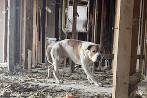 Se refugió de una tormenta de nieve en una casa en ruinas hasta que un vecino lo vio