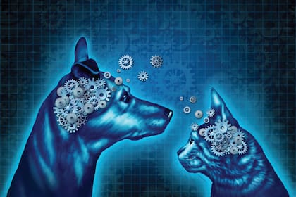 La nueva moda en el mundo de las mascotas es la telepatía basada en estudios científicos.