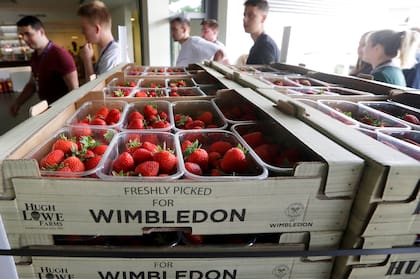 Las frutillas, acompañadas por crema, un clásico de Wimbledon