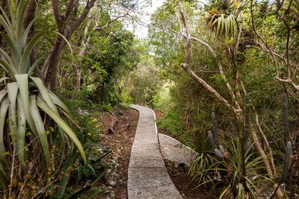 Senderos entre la vegetación.