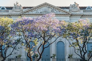 La fiesta cromática de la ciudad con la primavera eterna