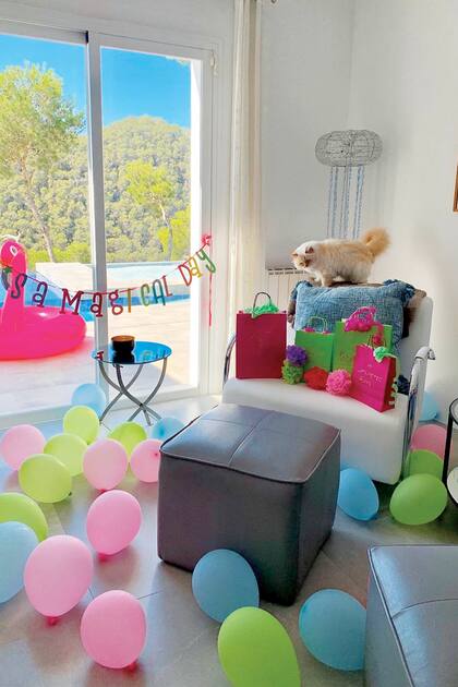 La primera imagen con la que Choupette volvió a aparecer en las redes sociales