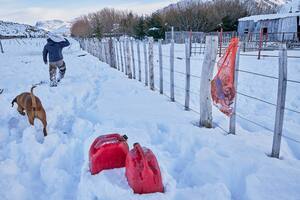 Aislado entre liebres congeladas, un gaucho se negó a evacuar para no dejar a sus perros