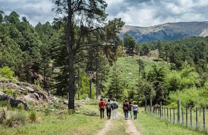 Caminata por la Bodega Las Cañitas.