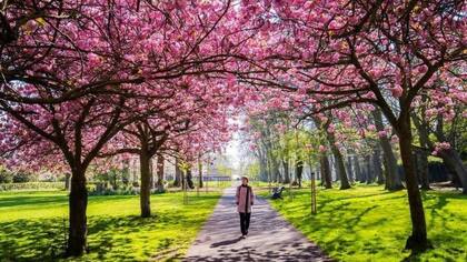 Tan pronto como salimos de casa, incluso para dar un paseo por el parque, nuestro cerebro comienza a prestar atención