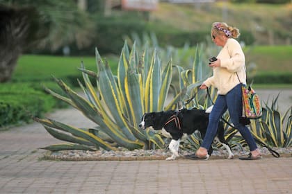 La nieta de Amalita suele salir acompañada de su perra París. El último ranking de Forbes la ubica entre los más ricos de Argentina, en la posición 28, junto a su hermana Bárbara Bengolea, y estima su fortuna en 430 millones de dólares.