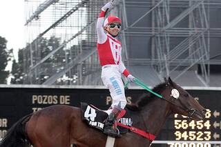 For the Top, el potrillo que ganó un GP Nacional que no estaba en los planes