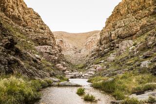 Sierras Grandes, nueva reserva privada en la Comarca de la Ventana