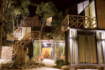 Hace poco menos de un año, Carrillo inauguró el hotel Bufo Alvarius Sanctuary en Tulum. Inmerso en un ambiente selvático y con habitaciones que cotizan desde los 200 dólares.