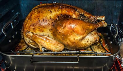 El horno caliente forma parte de las quemaduras más comunes en los niños