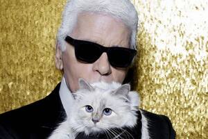 Choupette, la gata de Karl Lagerfeld que heredaría parte de su fortuna