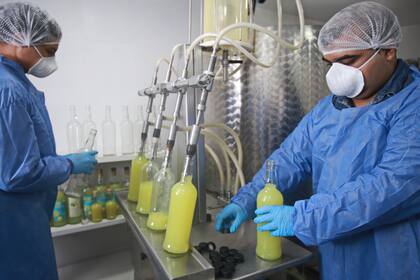 Los negocios relacionados con la agricultura también tuvieron un fuerte impacto en las inversiones