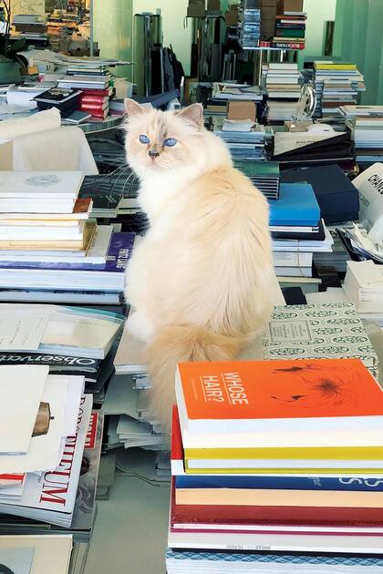 Allí se puede ver cómo convive entre las pertenencias del diseñador