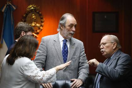 Tonelli ayer, en la reunión del Consejo de la Magistratura