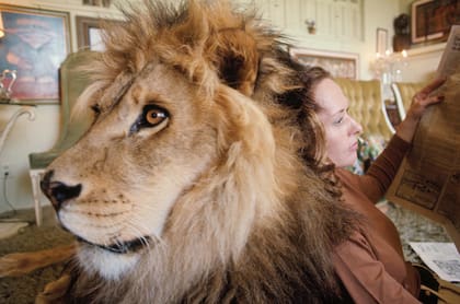 Durante años el león convivió en su casa y se convirtió en uno más de la familia.