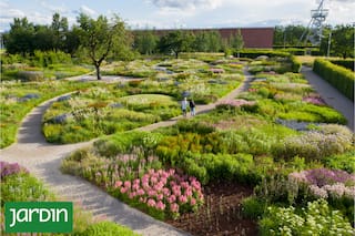 Así es el entorno en el que conviven empleados y visitantes en esta meca del diseño global