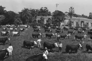 Leonardo Pereyra, un pionero de la modernización del campo argentino