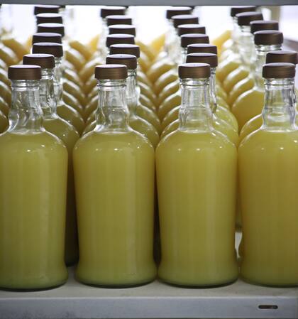 Nicolás Silvetti y su socio volvieron a utilizar las máquinas para vender y exportar limoncello