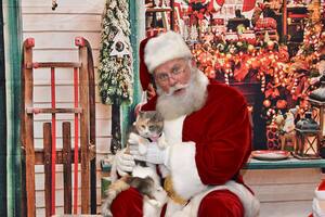 Llevó a su gata a saludar a Papá Noel y su reacción la inspiró para ayudar a otros animales